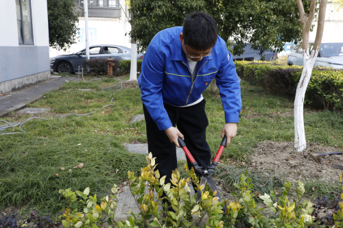 植樹(shù)照片4.jpg