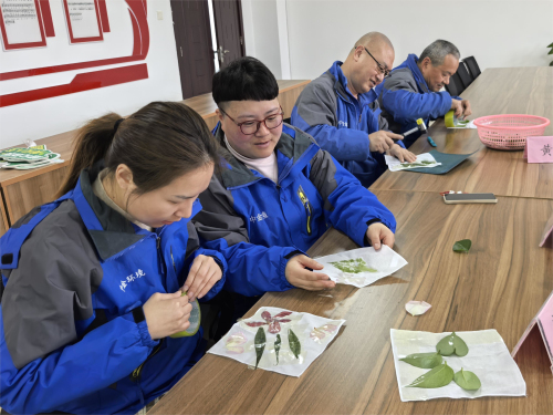 開(kāi)展“植物拓印”DIY活動(dòng)現(xiàn)場(chǎng)-2.jpg